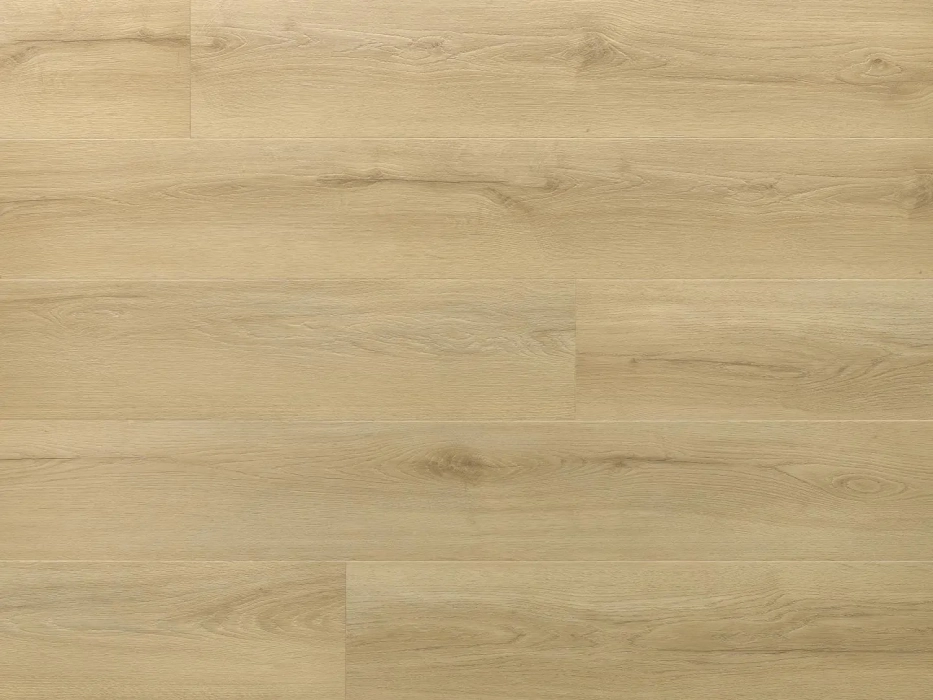 Arbiton Amaron Wood EIR Acoustic Dąb Princeton