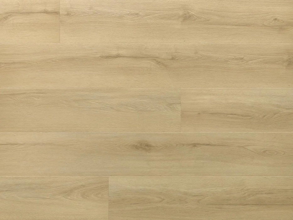 DB Amaron Wood DA228 Dąb Princeton
