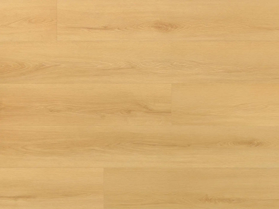 Arbiton Amaron Wood EIR Acoustic Dąb Virgin