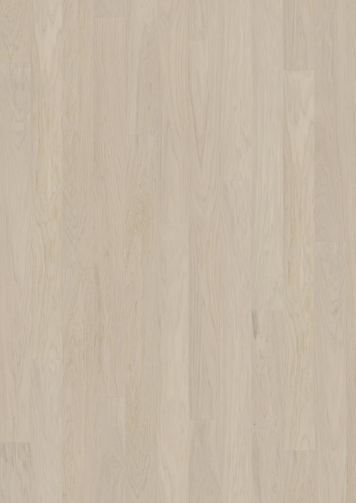 Coconut Cream Wide