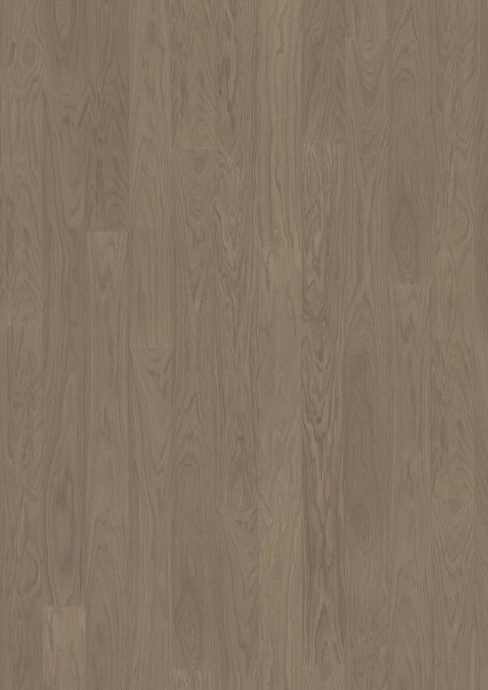 Earl Grey Wide