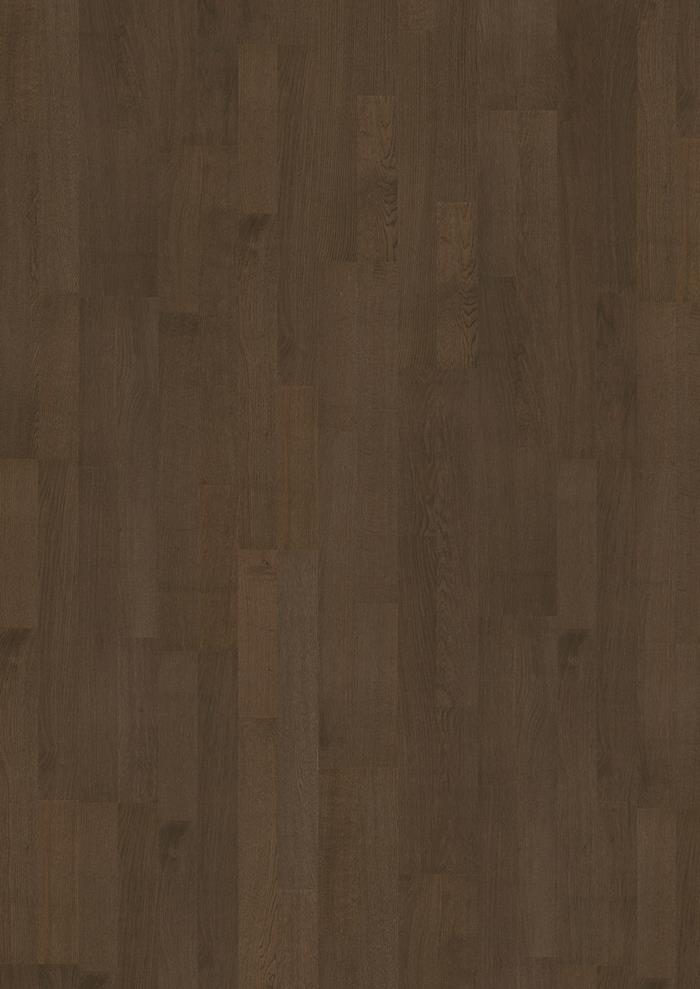 Cocoa Bean 2-Strip