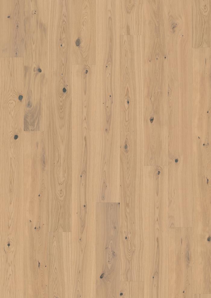 Oak Turmeric Plank