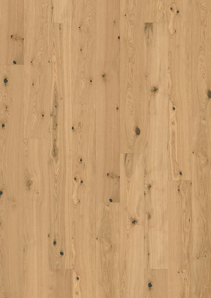Oak Fennel Plank